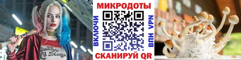 дарк нет как зайти  Козьмодемьянск  Галлюциногенные грибы прущие грибы  гидра  