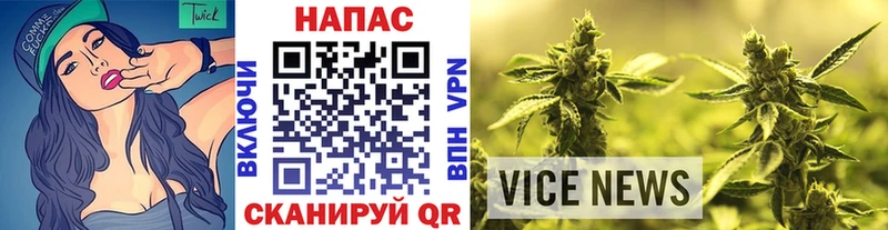 где продают   Козьмодемьянск  Бошки марихуана сатива 
